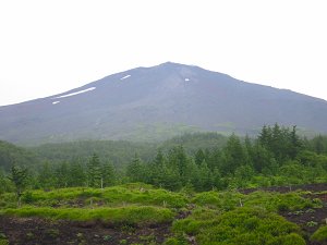 {]ޕxmR