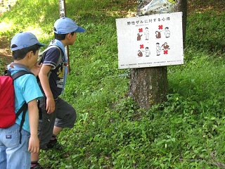 野生猿に対する心得