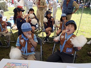 綿菓子美味しいな