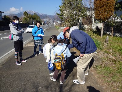 ビーバー頑張る