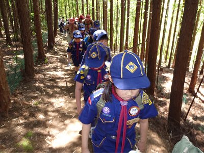 頑張って登ってます