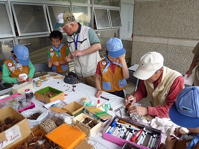 自然工作に挑戦