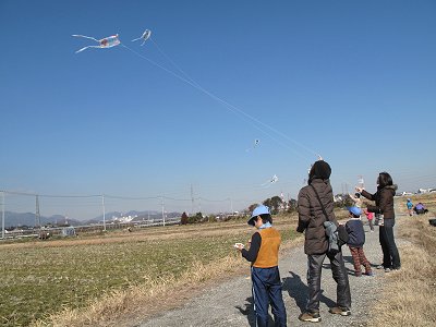 上手く揚がりました