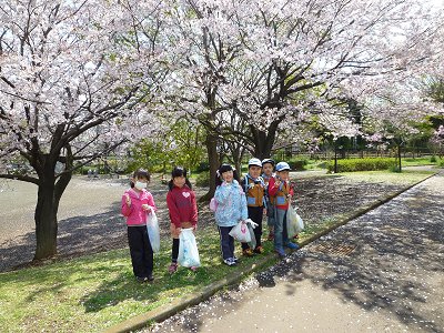 満開の桜の下で
