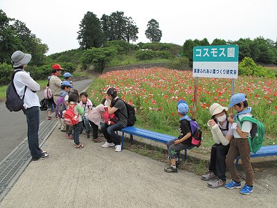 花がいっぱい