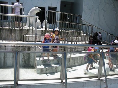 スカウト展示中