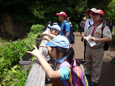 何がいるのかな?