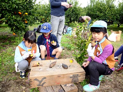 焼きイモいただきます 写真